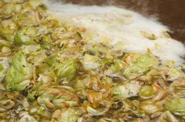 yaprakları ve homet bira yüzeyinde hop eksilerini. yakın çekim. Zanaat bira tahıl soluk Arpa malt sürecinde gelen bira. Ale veya pilsner malt lager.
