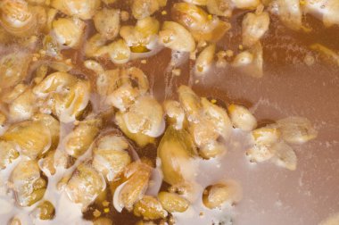 Zanaat bira fermantasyon yaprakları hop yüzeyi ile ilk aşaması. Zanaat bira tahıl soluk arpa malt sürecinde gelen bira. Ale veya pilsner malt lager.