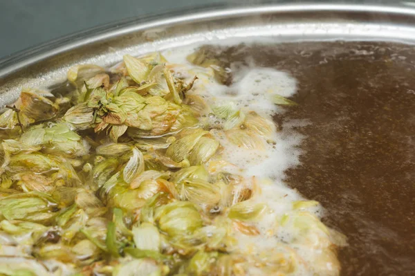 yaprakları ve homet bira yüzeyinde hop eksilerini. yakın çekim. Zanaat bira tahıl soluk Arpa malt sürecinde gelen bira. Ale veya pilsner malt lager.