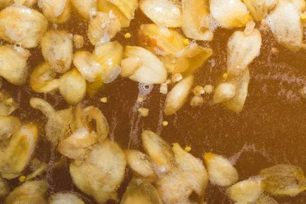 Zanaat bira fermantasyon yaprakları hop yüzeyi ile ilk aşaması. Zanaat bira tahıl soluk arpa malt sürecinde gelen bira. Ale veya pilsner malt lager.