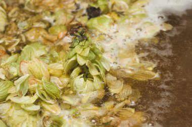 yaprakları ve homet bira yüzeyinde hop eksilerini. yakın çekim. Zanaat bira tahıl soluk Arpa malt sürecinde gelen bira. Ale veya pilsner malt lager.