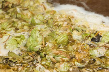 yaprakları ve homet bira yüzeyinde hop eksilerini. yakın çekim. Zanaat bira tahıl soluk Arpa malt sürecinde gelen bira. Ale veya pilsner malt lager.