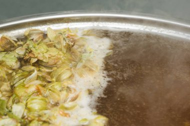 yaprakları ve homet bira yüzeyinde hop eksilerini. yakın çekim. Zanaat bira tahıl soluk Arpa malt sürecinde gelen bira. Ale veya pilsner malt lager.