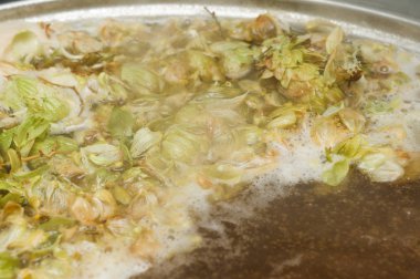 yaprakları ve homet bira yüzeyinde hop eksilerini. yakın çekim. Zanaat bira tahıl soluk Arpa malt sürecinde gelen bira. Ale veya pilsner malt lager.