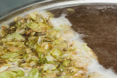 yaprakları ve homet bira yüzeyinde hop eksilerini. yakın çekim. Zanaat bira tahıl soluk Arpa malt sürecinde gelen bira. Ale veya pilsner malt lager.