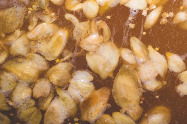 Zanaat bira fermantasyon yaprakları hop yüzeyi ile ilk aşaması. Zanaat bira tahıl soluk arpa malt sürecinde gelen bira. Ale veya lager pilsner malt. yakın çekim