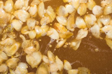 Zanaat bira fermantasyon yaprakları hop yüzeyi ile ilk aşaması. Zanaat bira tahıl soluk arpa malt sürecinde gelen bira. Ale veya lager pilsner malt. yakın çekim