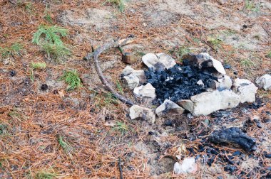 bir çam ormanı içinde taş olan mayınları kamp ateşi