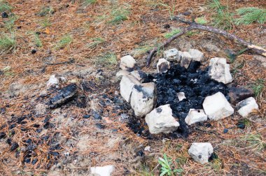 bir çam ormanı içinde taş olan mayınları kamp ateşi