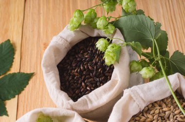 Külah atlama ve soluk karamel, çikolata malt ahşap arka plan üzerinde torbalarda. en iyi manzara, portre. Madde bira sektöründe. Zanaat bira tahıl Arpa malt bira. Ale veya soluk veya koyu pilsner malt lager.