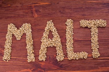 Malt malt tahıl ahşap arka plan üzerinde yazıt. Zanaat bira tahıl Arpa malt bira. Ale veya soluk veya koyu pilsner malt lager.