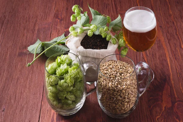 Bierglas Hopfenzapfen Helles Karamellmalz Glasbechern Und Schokoladenmalz Tüten Zutat Für — Stockfoto