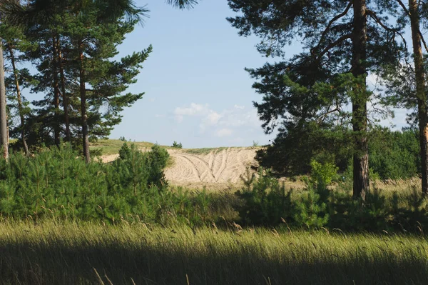 景观与松树林和沙路 俄罗斯中部农村观 — 图库照片