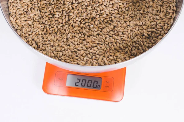 Pilsner Malt Steel Bowl Orange Scales Craft Beer Brewing Grain — Stock Photo, Image