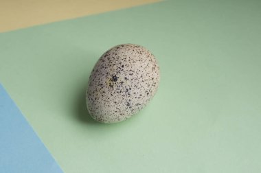 bıldırcın yumurtası renk arka plan üzerinde yığını. Vejetaryen organik Eko gıda.