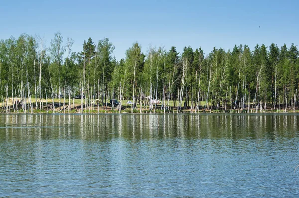 Vista do lago com bétulas crescendo em torno de um sol brilhante d — Fotografia de Stock