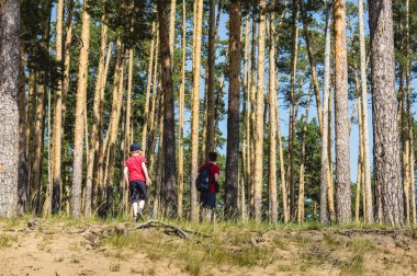 babası ile kırmızı bir t-shirt bir çocuk bir çam fo ile seyahat