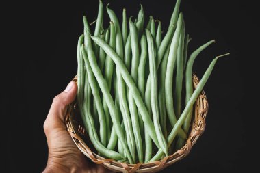 Vietnam taze Fransızca fasulye