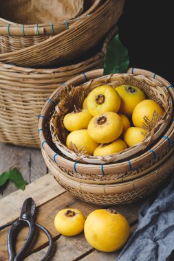 Altın elma meyve-Diospyros decandra meyve