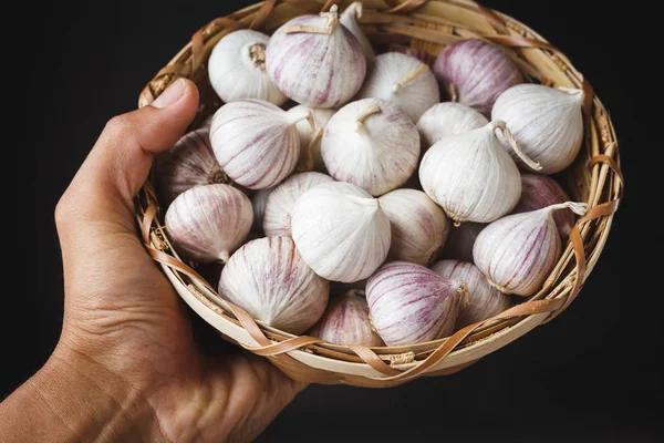 Sarmısakları Tek Diş Sarımsak Solo — Stok fotoğraf