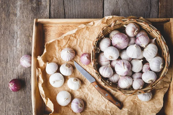 Sólo Stroužky Česneku Garlics Single — Stock fotografie