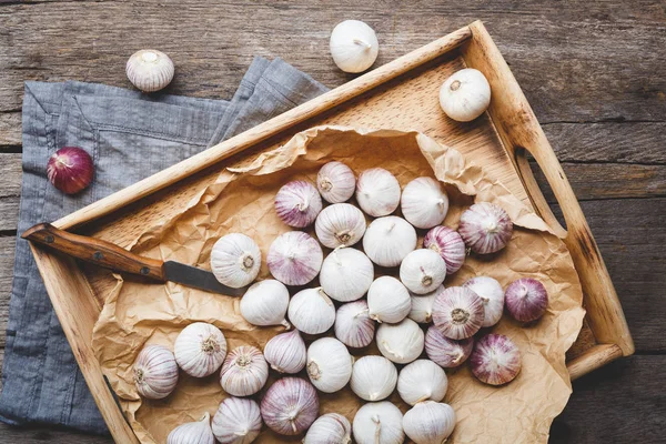 Solo Garlics Căței Usturoi Singuri — Fotografie, imagine de stoc