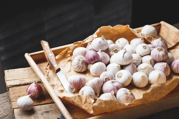 Solo Garlics Căței Usturoi Singuri — Fotografie, imagine de stoc