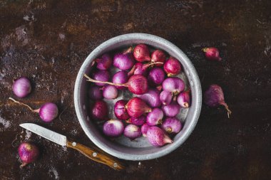 Taze soğan, koyu arkaplanda kırmızı soğan.