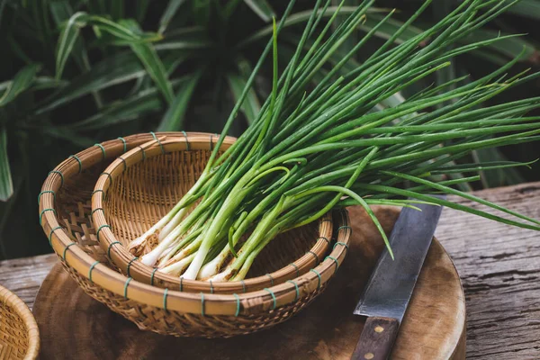 Skala Segar Bawang Hijau — Stok Foto