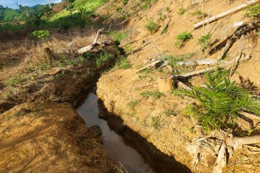 Bahçede suyla dolu küçük bir hendek.