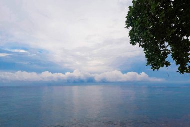 Kıyı sahili ve ağaçların manzarası