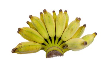 Kırpma yolu ile beyaz arka plan üzerinde ekili muz.