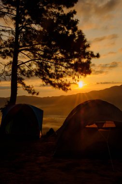 Sabah güneşi, ağaç ve gezgin çadırlarının gölgesinde..