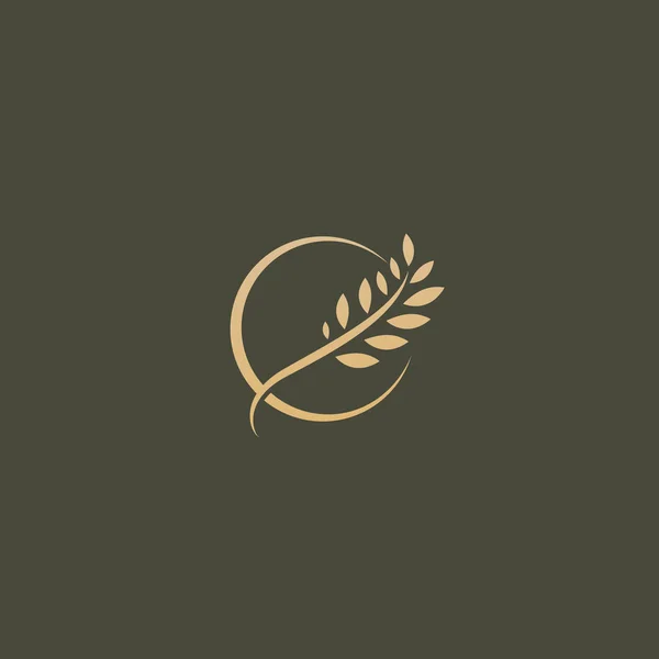 Illustration Design Elegant Premium Royal Logotype Leaf Dark Background Vector — Stock Vector
