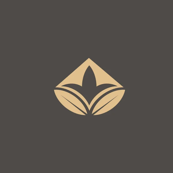 Royal Κοσμήματα Γιόγκα Premium Λογότυπο Σκωτσέζικο Γεωμετρικό Σχεδιασμό Εικονογράφηση — Διανυσματικό Αρχείο