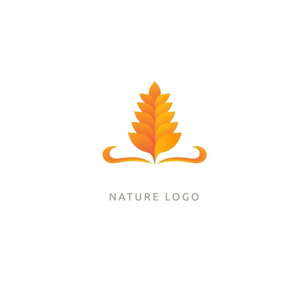 Illustration Design Elegant Premium Royal Logotype Leaf Vector Icon Gold — Stock Vector