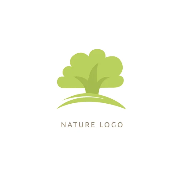 Vector Illustration Editable Design Tree Fir Tree Wood Oakweb Icon — Stock Vector