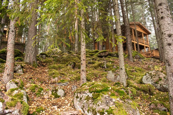 Dorfhaus aus Holz auf einem Hügel im Nadelwald. Schwedische Landschaft. Herbstfarben rund um ein Ferienhaus — Stockfoto