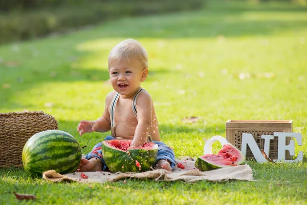 one year old little boy siting on the grass in the garden with watermelon and decorations. smash the fruit