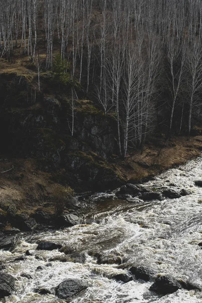 Autumn mountain river stream landscape. Mountain river autumn view. Autumn mountain river panorama.