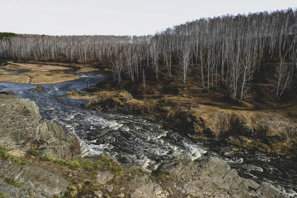 Autumn mountain river stream landscape. Mountain river autumn view. Autumn mountain river panorama.