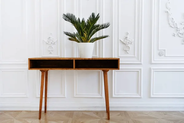 Beautiful vase with plants. Ceramic pot on a wooden table. Home indoor plants. Beautiful aesthetic interior. Minimalism in the interior. A beautiful palm tree in pot on white background