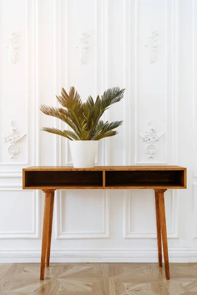 Beautiful vase with plants. Ceramic pot on a wooden table. Home indoor plants. Beautiful aesthetic interior. Minimalism in the interior. A beautiful palm tree in pot on white background