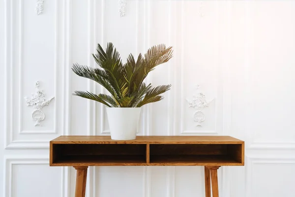 Beautiful vase with plants. Ceramic pot on a wooden table. Home indoor plants. Beautiful aesthetic interior. Minimalism in the interior. A beautiful palm tree in pot on white background