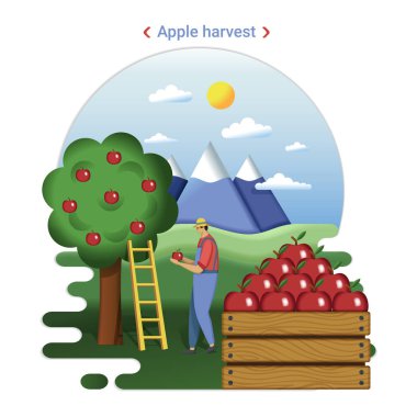 Düz çiftlik manzara elma hasat Illustration. Bahçe ve dağ kırsal manzara. Elma hasat çiftçi.