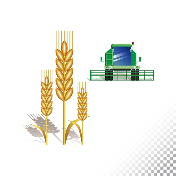 Ícone Plano Vetorial Ilustração Espigueta Trigo Colheitadeira Objetos Coloridos Fundo — Vetor de Stock