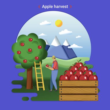 Düz çiftlik manzara elma hasat Illustration. Bahçe ve dağ kırsal manzara. Elma hasat çiftçi.