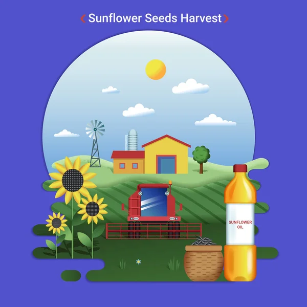 Flat Farm Landscape Illustration Sunflower Seeds Harvest Rural Landscape Sunflower — ストックベクタ