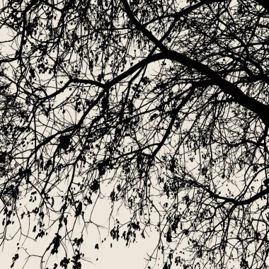 Bir ağaç dalı siluet vektör. Dekorasyon için desenler