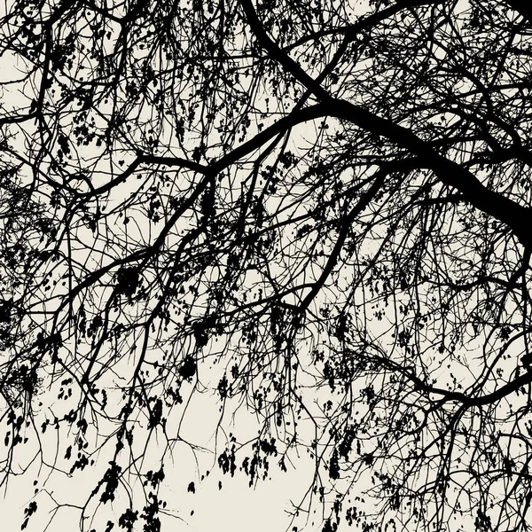 Векторный Силуэт Ветви Дерева Шаблоны Украшения — стоковый вектор